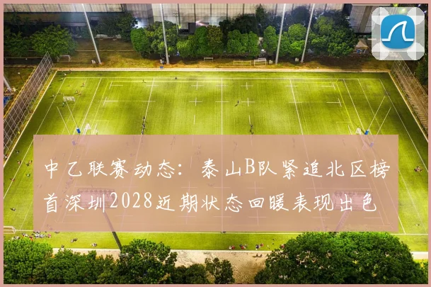 中乙联赛动态:泰山B队紧追北区榜首深圳2028近期状态回暖表现出色