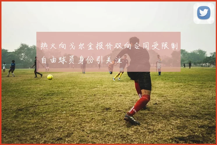 热火向戈尔金报价双向合同受限制自由球员身份引关注
